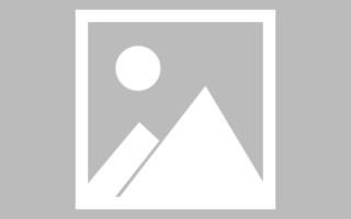 日土网页优化和设计人才（网站优化职位）